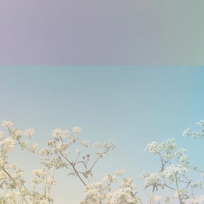 Abstract Florals by Cassia Beck framed canvas print