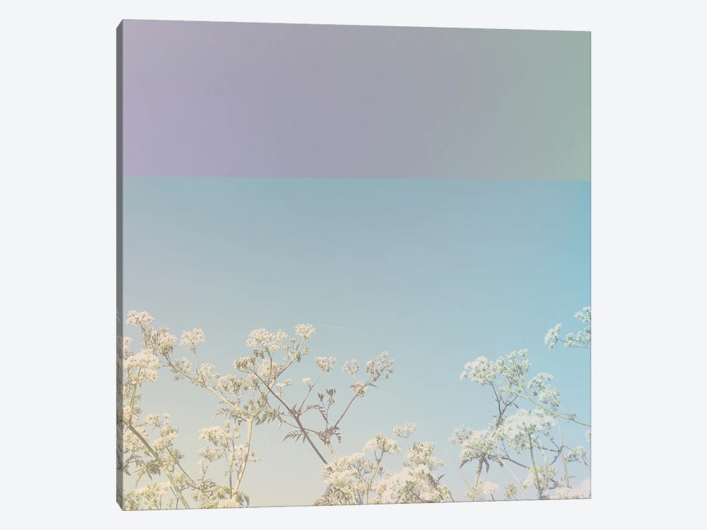 Abstract Florals by Cassia Beck 1-piece Canvas Wall Art
