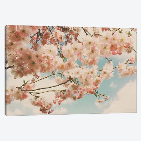 Floral Canopy Canvas Print #CSB170} by Cassia Beck Canvas Art