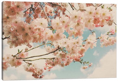 Floral Canopy Canvas Art Print - Cassia Beck