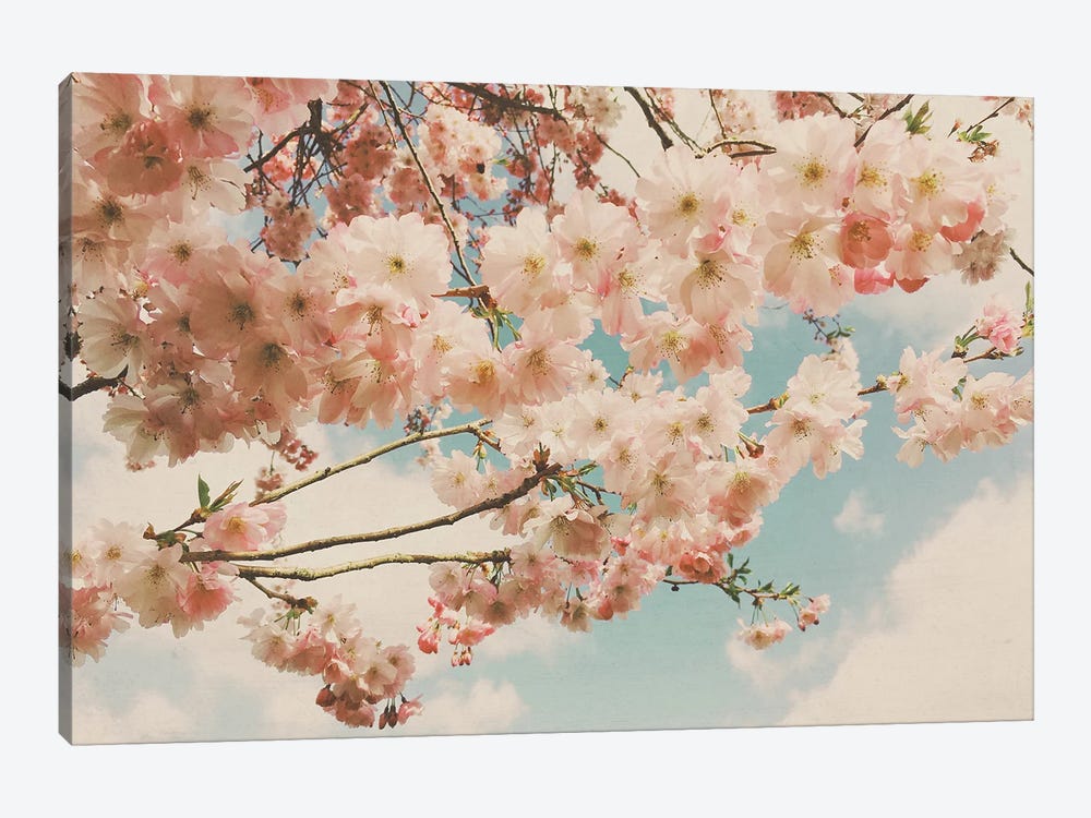 Floral Canopy by Cassia Beck 1-piece Canvas Print