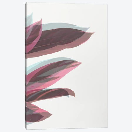 Ghost Leaves Canvas Print #CSB179} by Cassia Beck Canvas Wall Art