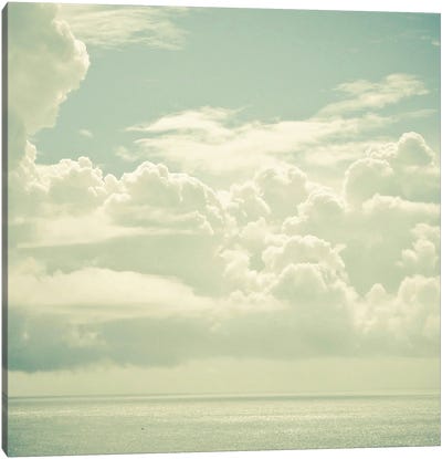As the Clouds Gathered Canvas Art Print - Cassia Beck