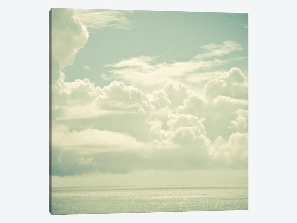 As the Clouds Gathered by Cassia Beck 1-piece Canvas Artwork