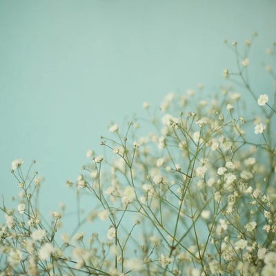 Baby Blue by Cassia Beck framed canvas print