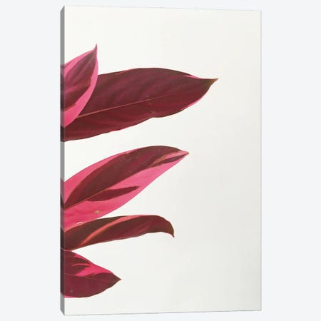Red Leaves I Canvas Print #CSB185} by Cassia Beck Canvas Art