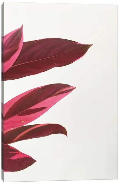 Red Leaves I Canvas Art Print - Cassia Beck