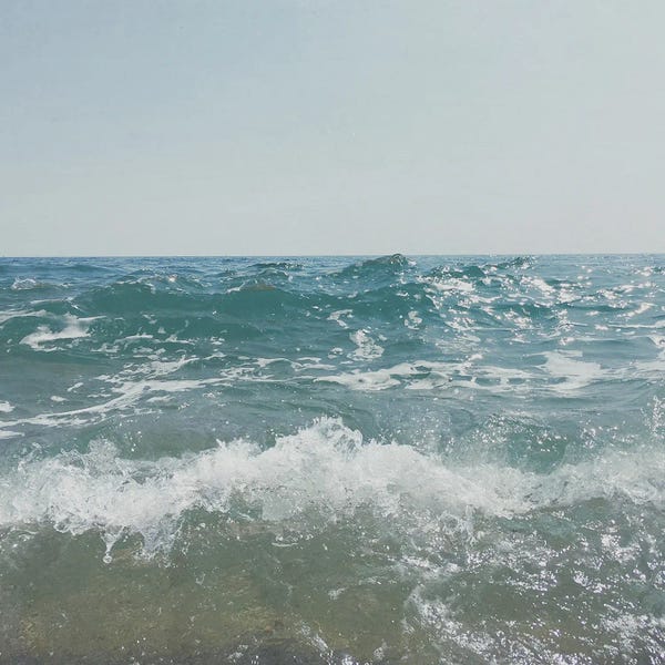 Cassia Beck: Shore by Cassia Beck