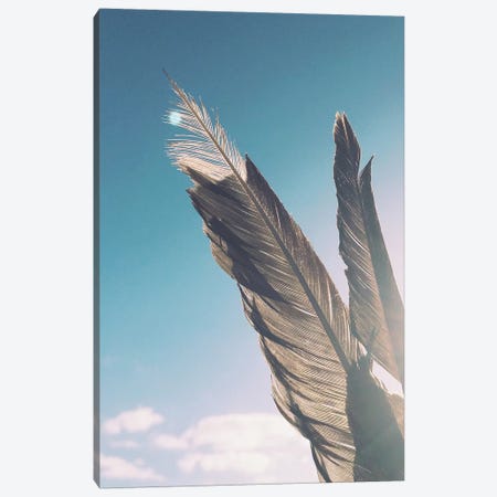 Brown Feathers Canvas Print #CSB19} by Cassia Beck Art Print