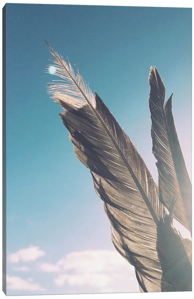 Brown Feathers Canvas Art Print - Cassia Beck
