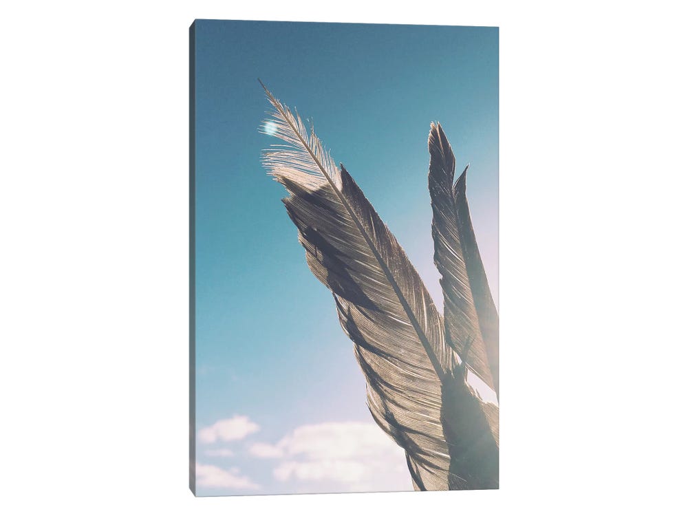 iCanvas Brown Feathers Art by Cassia Beck Canvas Art Wall Decor ( scenic & landscapes > Nature > Nature close-ups art) - 18x12 in