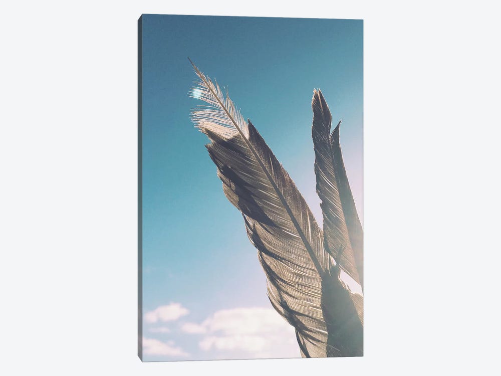 Brown Feathers by Cassia Beck 1-piece Canvas Art