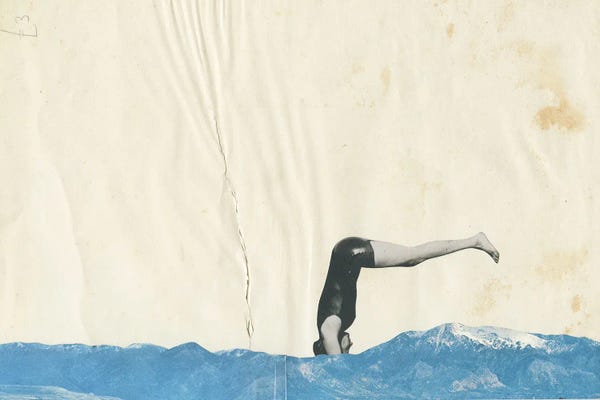 Free Falling: Plunge by Cassia Beck