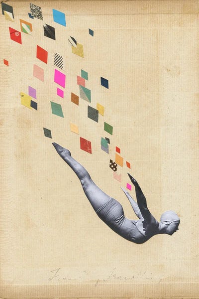 Free Falling: Swan by Cassia Beck