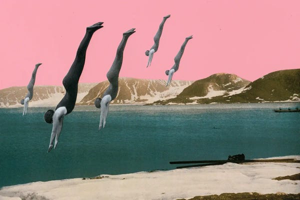 Free Falling: Dive by Cassia Beck