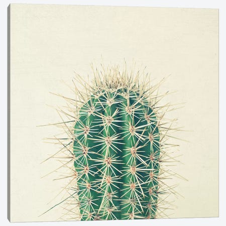 Cactus Canvas Print #CSB22} by Cassia Beck Canvas Wall Art