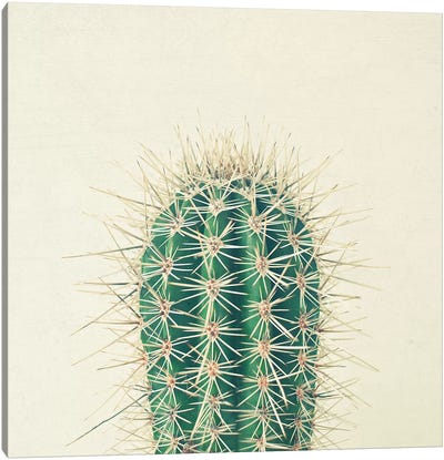 Cactus Canvas Art Print - Cassia Beck