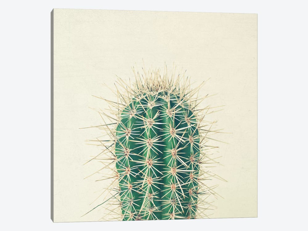 Cactus by Cassia Beck 1-piece Canvas Artwork