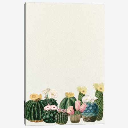 Cactus Garden (Collage) Canvas Print #CSB24} by Cassia Beck Canvas Art Print