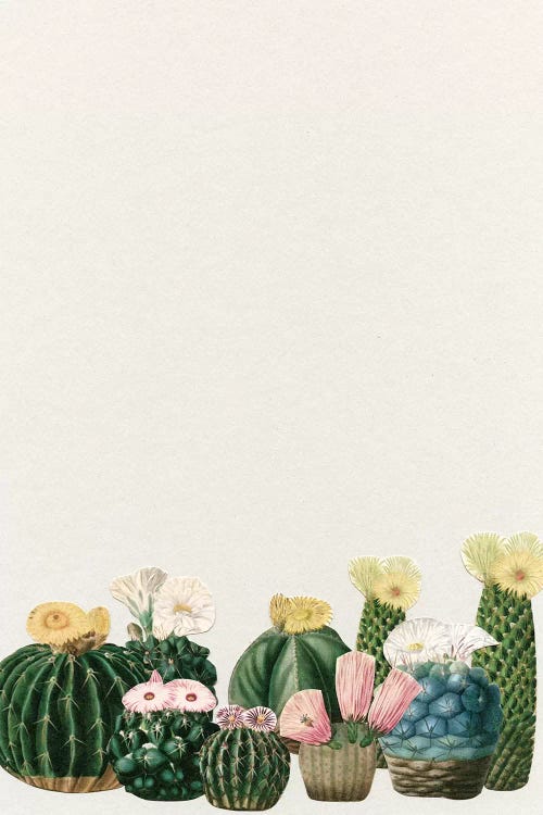 Cactus Garden (Collage)