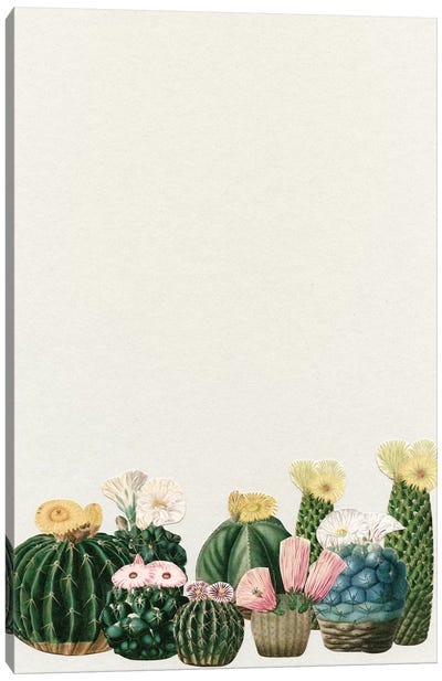 Cactus Garden (Collage) Canvas Art Print - Cassia Beck