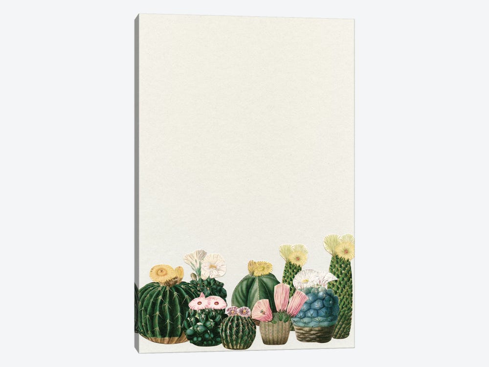 Cactus Garden (Collage) by Cassia Beck 1-piece Canvas Artwork