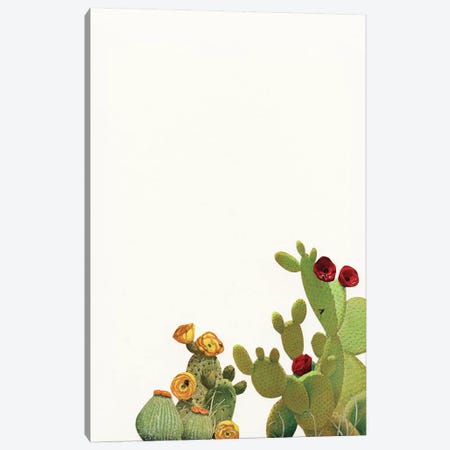 Cactus Garden II (Collage) Canvas Print #CSB25} by Cassia Beck Art Print