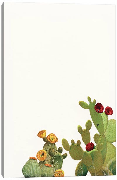 Cactus Garden II (Collage) Canvas Art Print - Cassia Beck