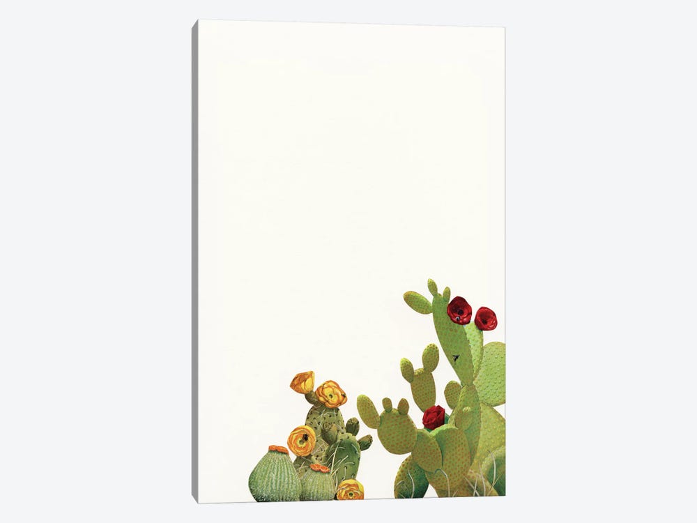 Cactus Garden II (Collage) by Cassia Beck 1-piece Canvas Art Print