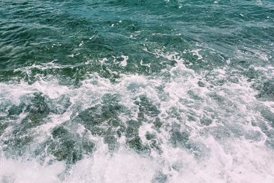 Deep Blue Sea II by Cassia Beck canvas print