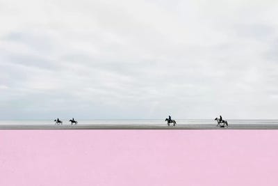 Equus by Cassia Beck framed canvas print