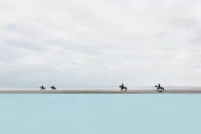 Equus II by Cassia Beck framed canvas print