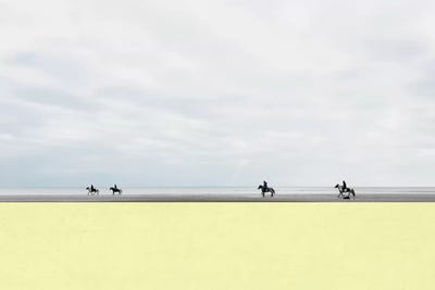 Equus III by Cassia Beck framed canvas print