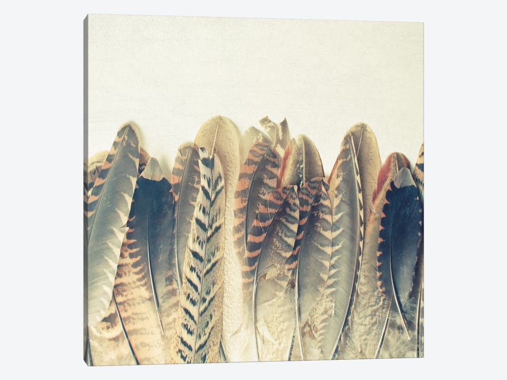 Feather Dip by Cassia Beck 1-piece Canvas Wall Art