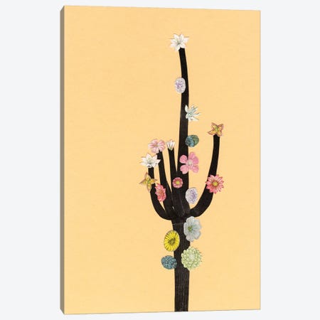 Flowering Cactus Canvas Print #CSB53} by Cassia Beck Art Print