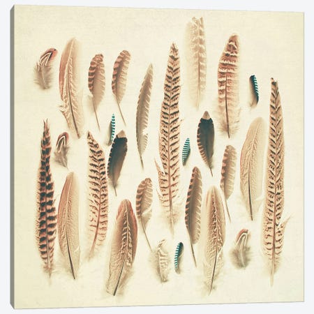 Found Feathers Canvas Print #CSB55} by Cassia Beck Canvas Artwork