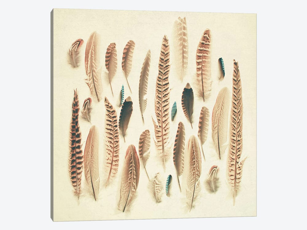 Found Feathers by Cassia Beck 1-piece Canvas Artwork