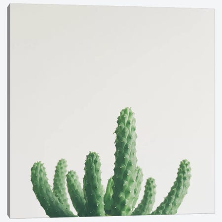 Green Fingers Canvas Print #CSB58} by Cassia Beck Canvas Art Print