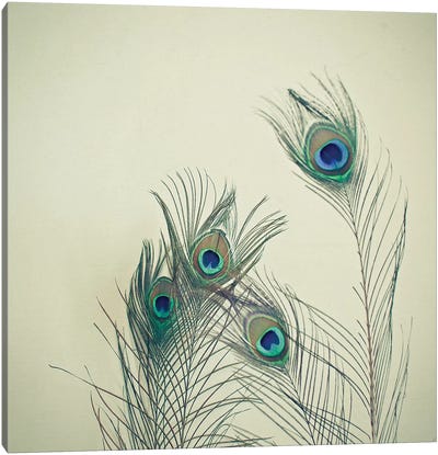 All Eyes Are on You Canvas Art Print - Cassia Beck