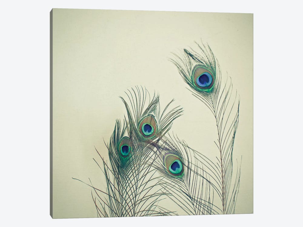 All Eyes Are on You by Cassia Beck 1-piece Canvas Art Print