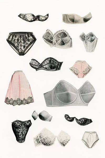 Lingerie by Cassia Beck framed canvas print