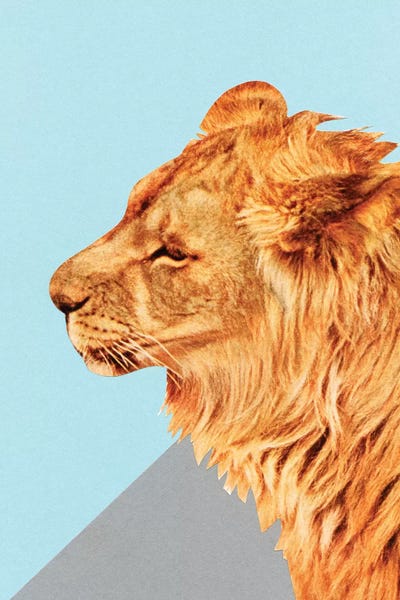 Lion Portrait by Cassia Beck framed canvas print