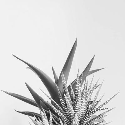 Overlap II by Cassia Beck framed canvas print