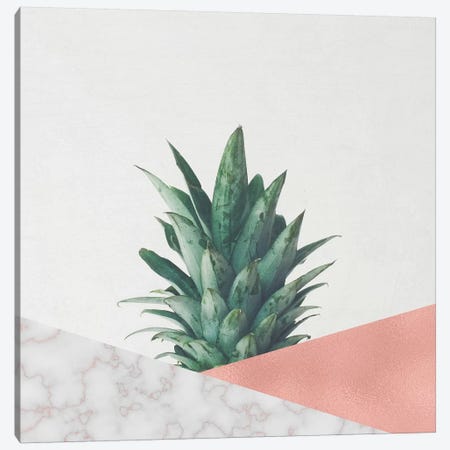 Pineapple Dip VI Canvas Print #CSB87} by Cassia Beck Art Print