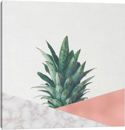 Pineapple Dip VI Canvas Art Print - Cassia Beck