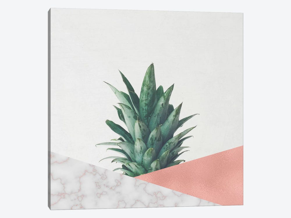 Pineapple Dip VI by Cassia Beck 1-piece Canvas Print