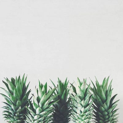 Pineapple Leaves by Cassia Beck art print