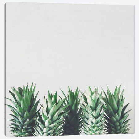 Pineapple Leaves Canvas Print #CSB88} by Cassia Beck Canvas Artwork