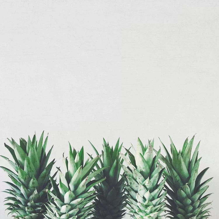 Pineapple Leaves by Cassia Beck wall art