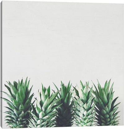 Pineapple Leaves Canvas Art Print - Cassia Beck